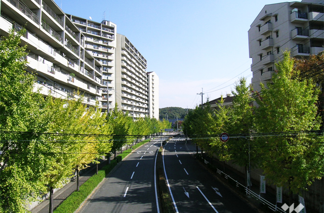 なだらかな高台にある美しい街並み